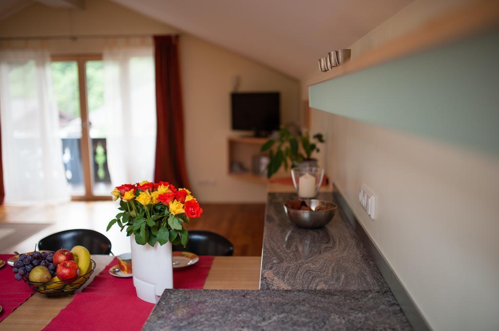 Ferienwohnungen Andrea グライナウ 部屋 写真