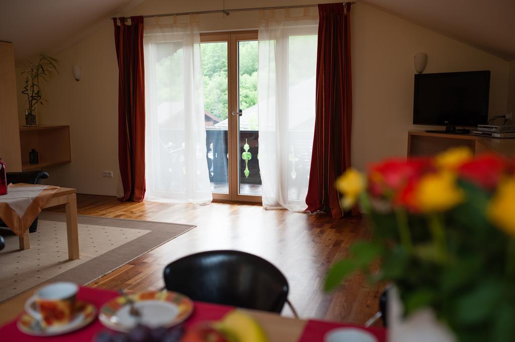 Ferienwohnungen Andrea グライナウ 部屋 写真